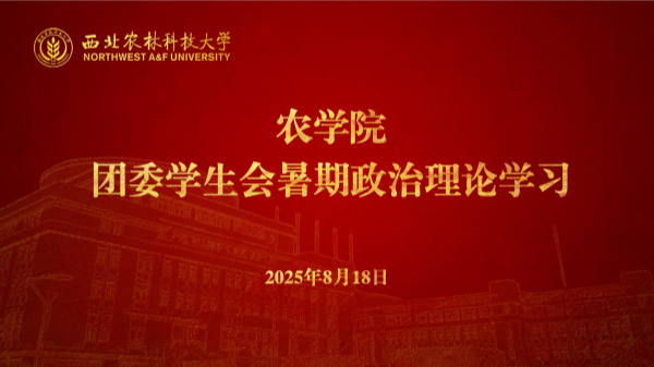342e1e49-1e2e-45e3-a505-82532a17ede2.png