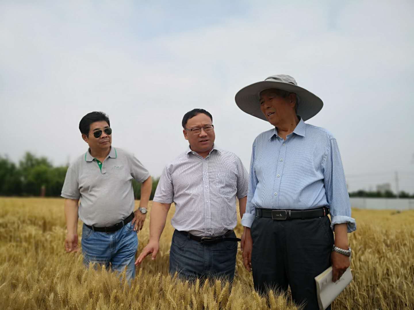 d9163c373b5a46228966ebba52c3d1b3.jpg d9163c373b5a46228966ebba52c3d1b3.jpg