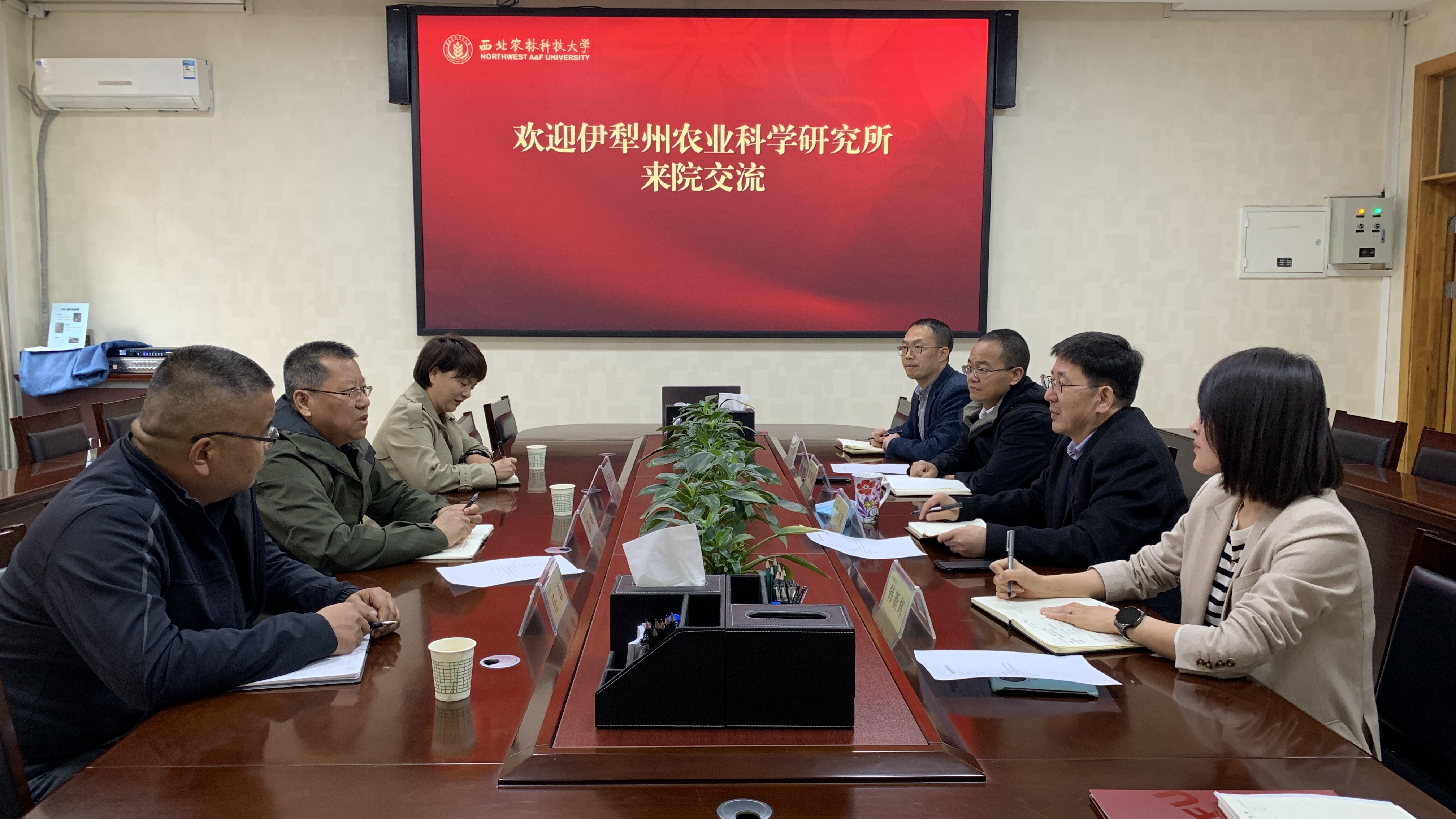 46334c52ad9e4504bfb25d9fded26fa2.jpg 46334c52ad9e4504bfb25d9fded26fa2.jpg